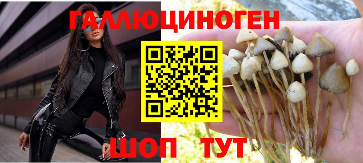 Галлюциногенные грибы Psilocybine cubensis  Вход с VPN  Стрежевой 